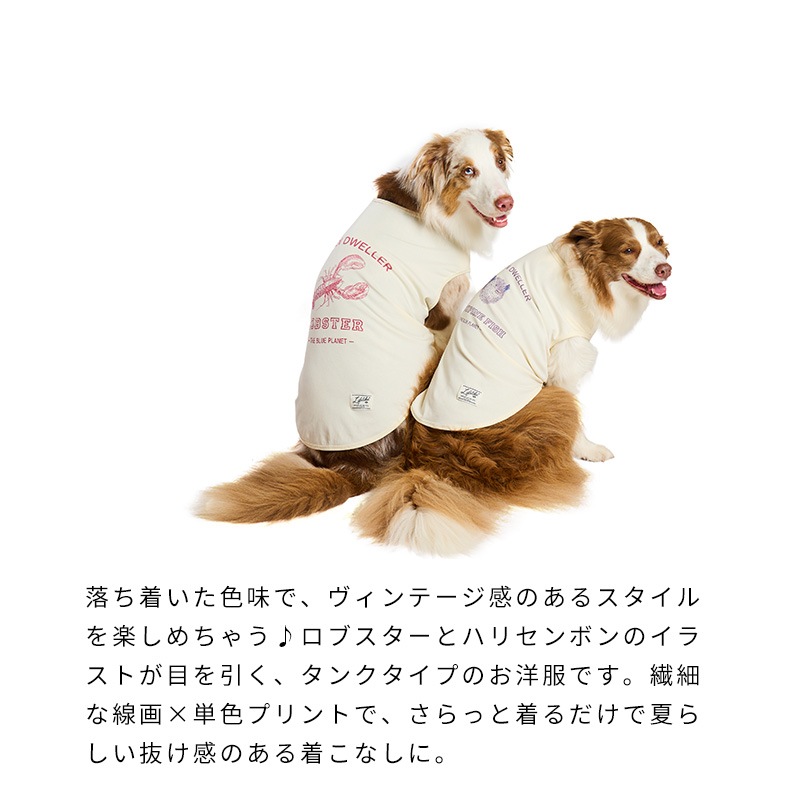 シークリーチャーズタンク