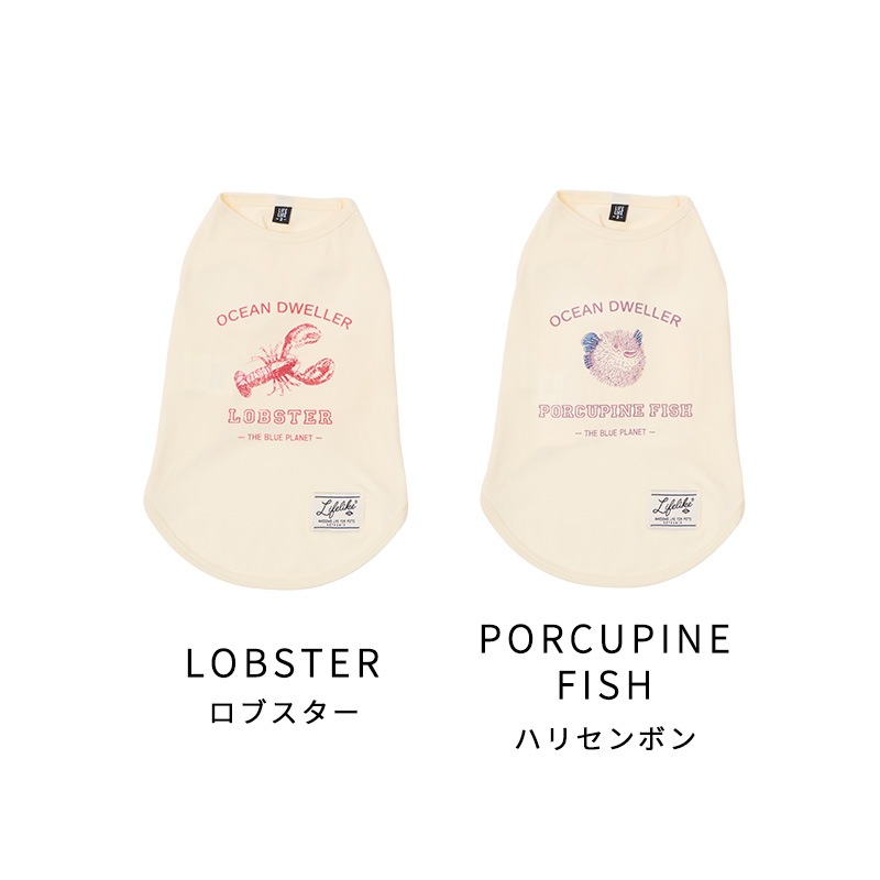 シークリーチャーズタンク