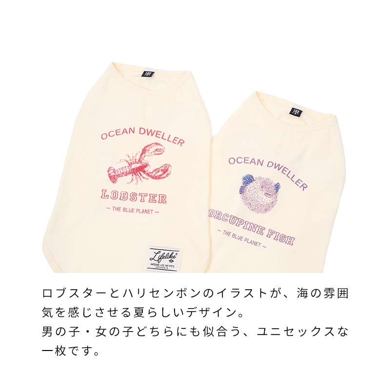 シークリーチャーズタンク