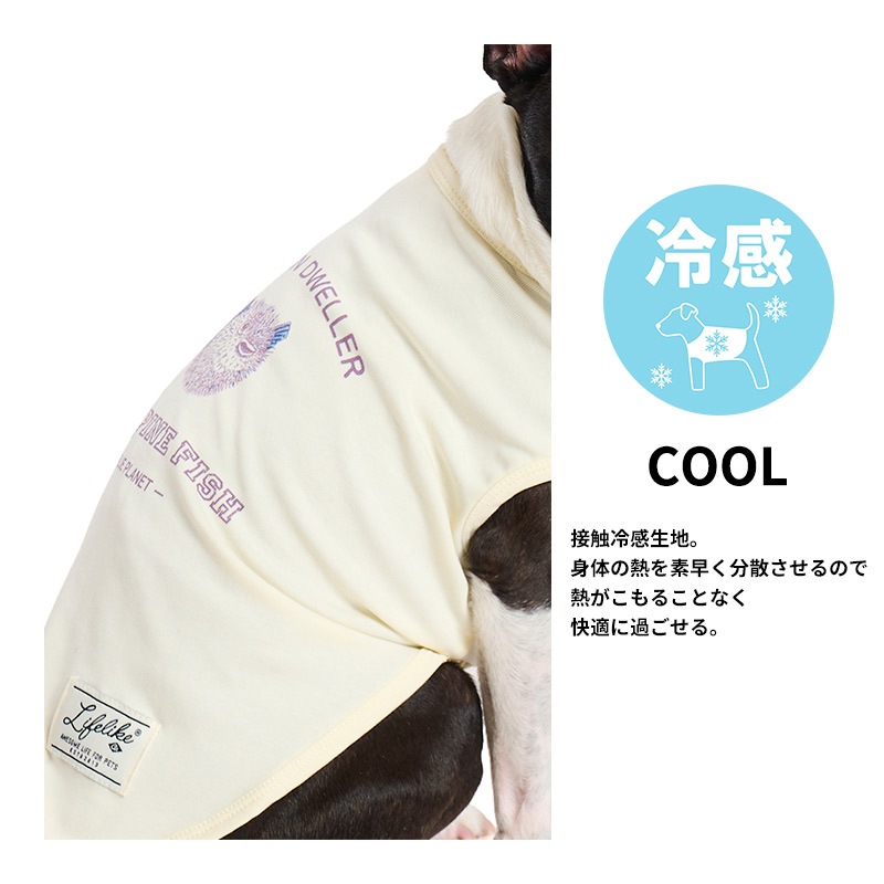 シークリーチャーズタンク