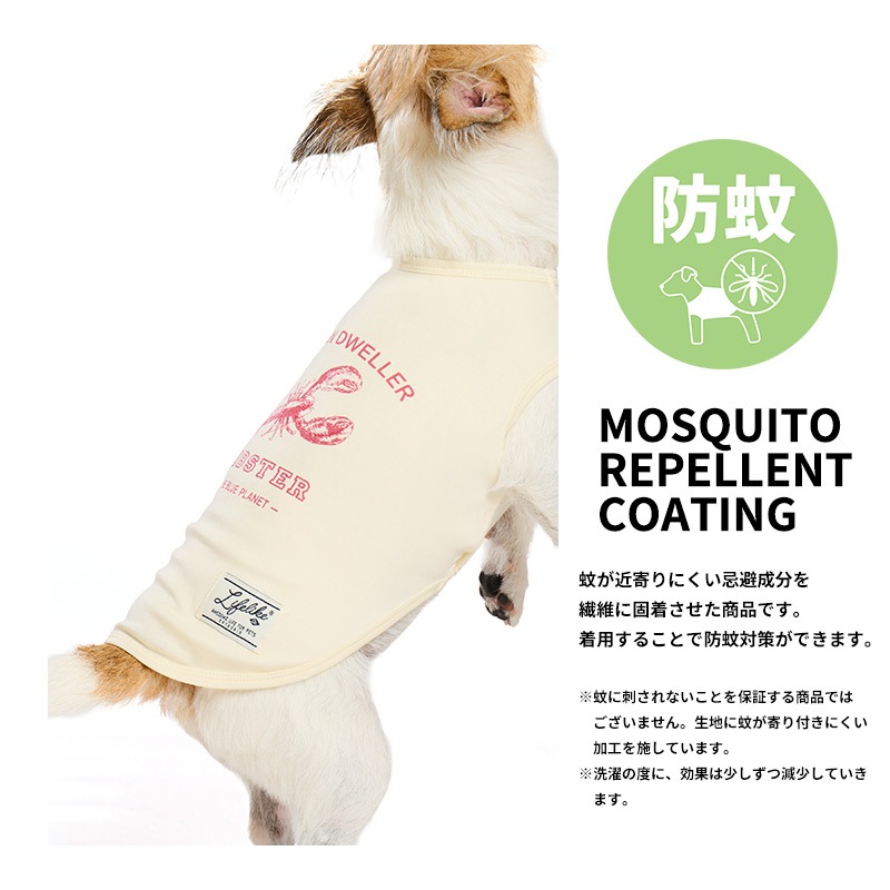 シークリーチャーズタンク