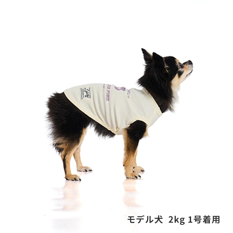 シークリーチャーズタンク