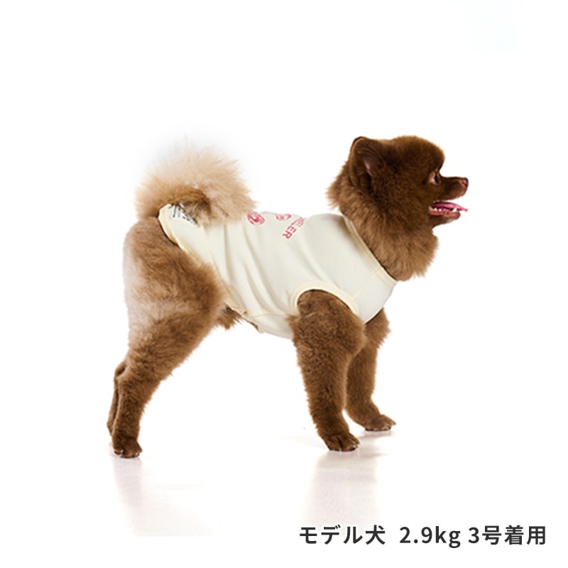 シークリーチャーズタンク