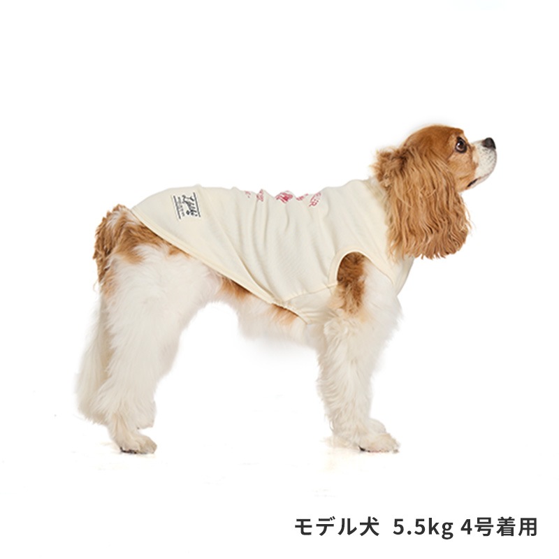 シークリーチャーズタンク