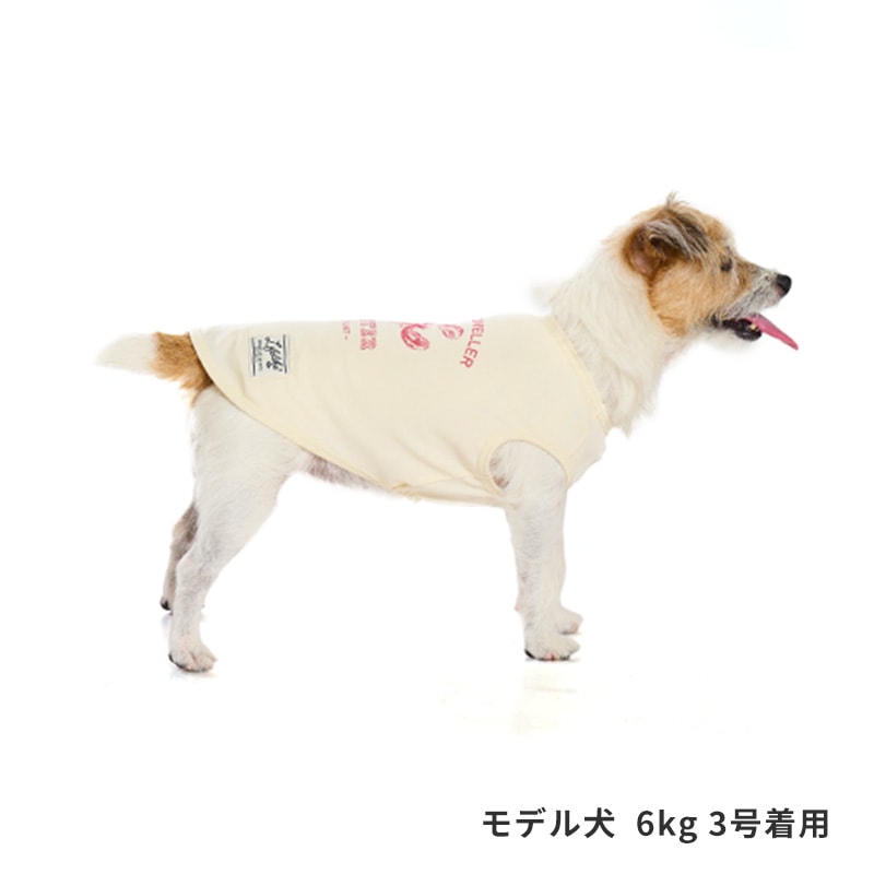 シークリーチャーズタンク