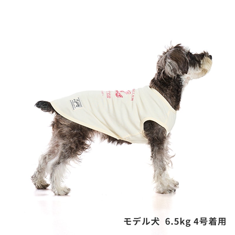 シークリーチャーズタンク