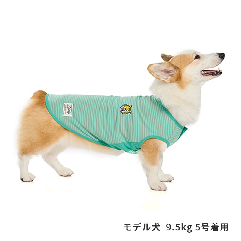 アニマルワンポイントタンク