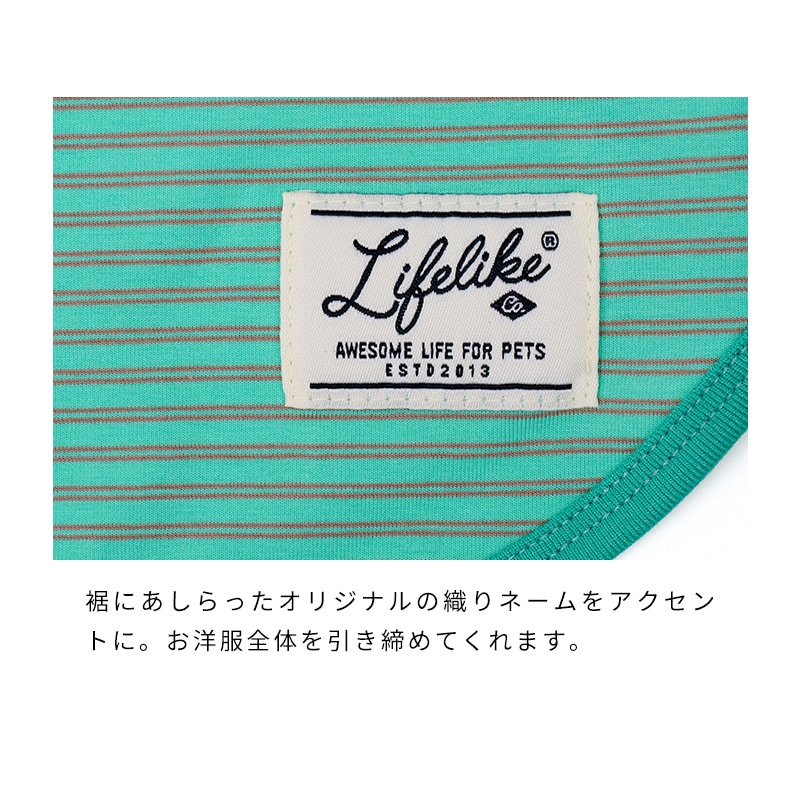 アニマルワンポイントタンク