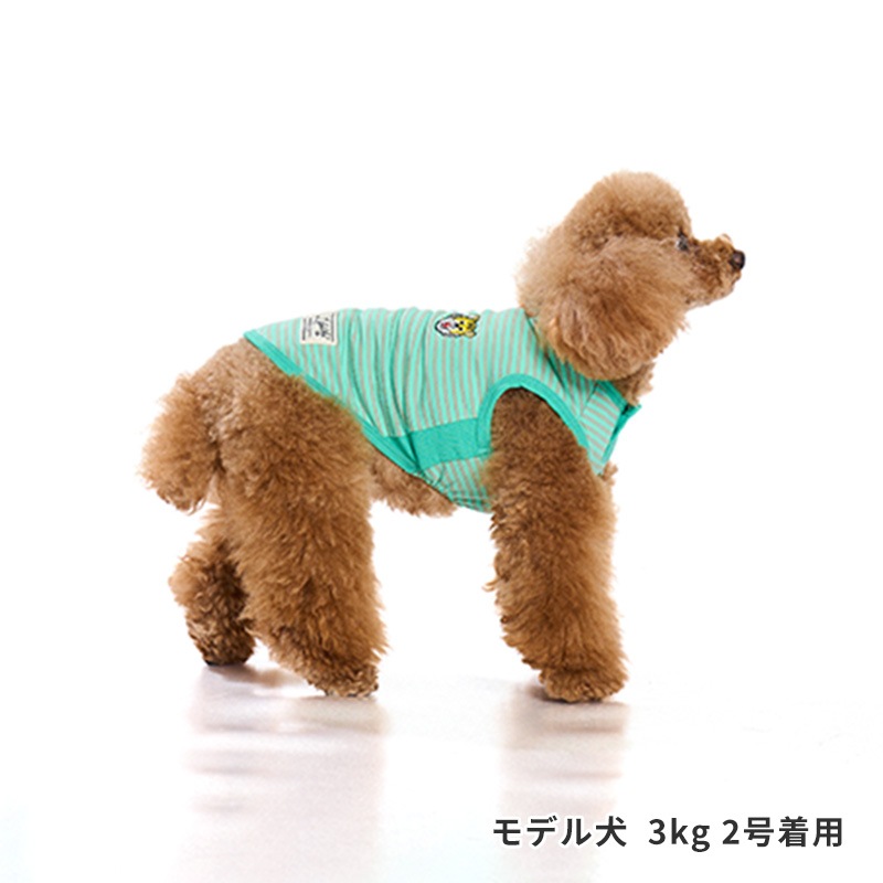 アニマルワンポイントタンク