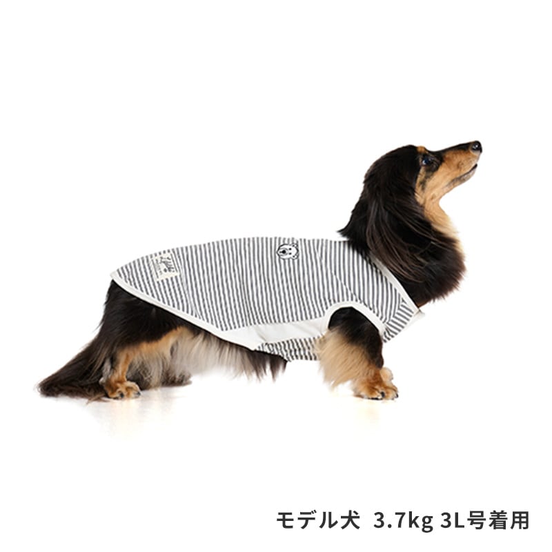 アニマルワンポイントタンク