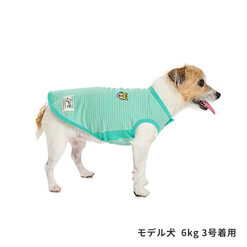 アニマルワンポイントタンク