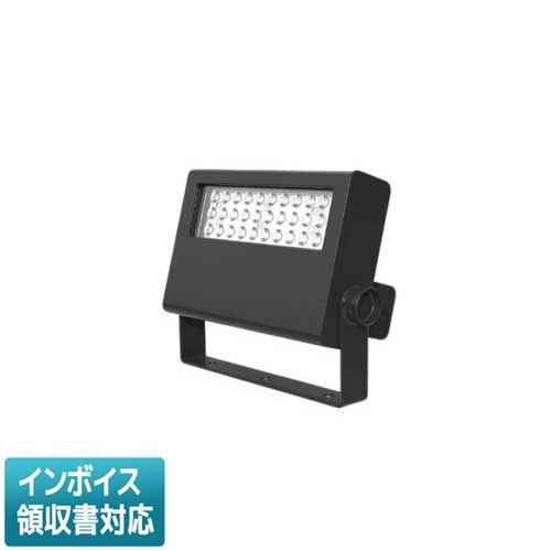 法人限定] LEDS-06909NW-LS9 東芝 LED 投光器 重耐塩形 昼白色