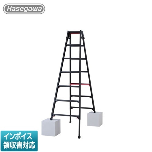 専用 LP 2組 VC スマート 即配 (KT) 12倍防振双眼鏡 Smart 12×21 Cellarto VC