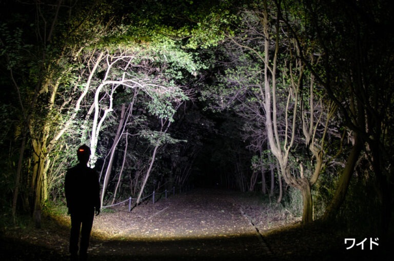 ○[即納在庫有り] GH-300RG GENTOS ジェントス Gシリーズ ヘッドライト