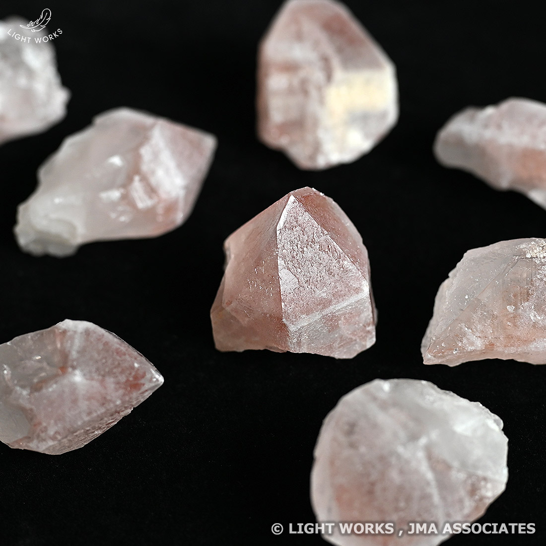 ピンクレムリアンシード（ファントム）（3/13発売開始）