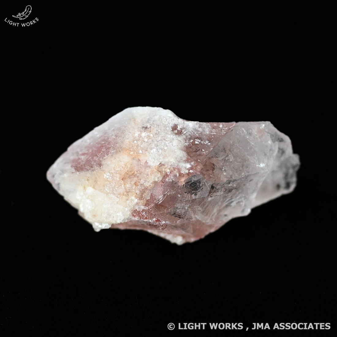 ピンクレムリアンシード（ファントム）（3/13発売開始）