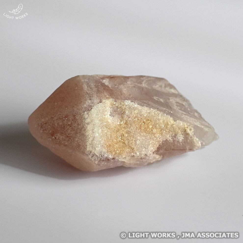 ピンクレムリアンシード（ファントム）（3/13発売開始）