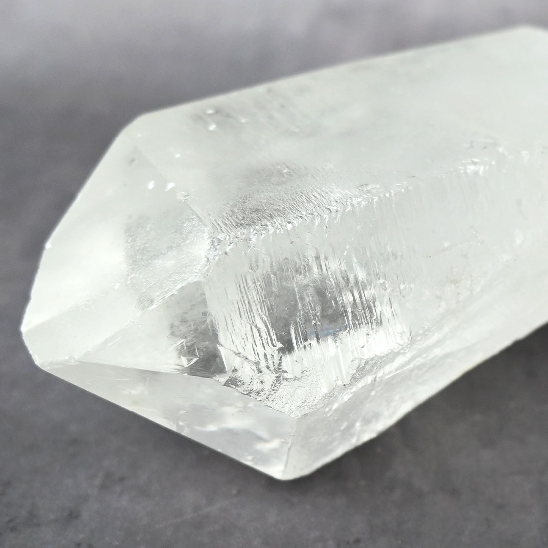 トライゴーニック