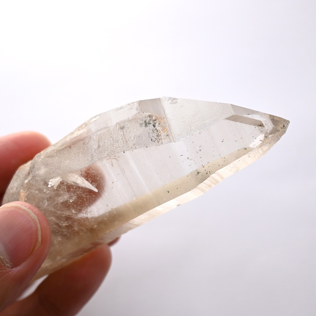 レムリアンシード