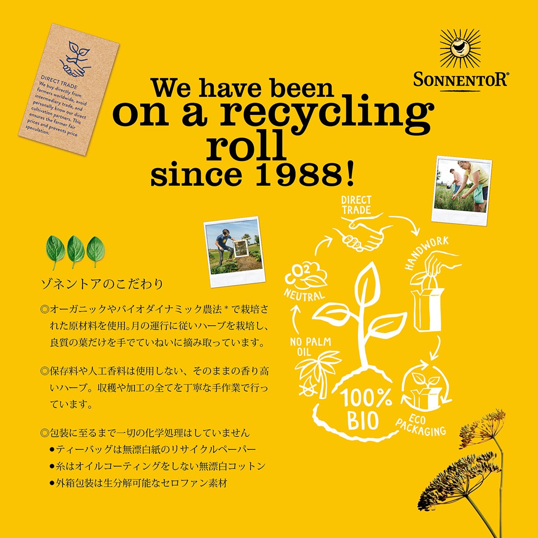 ヒルデガルトのお茶（アソート）