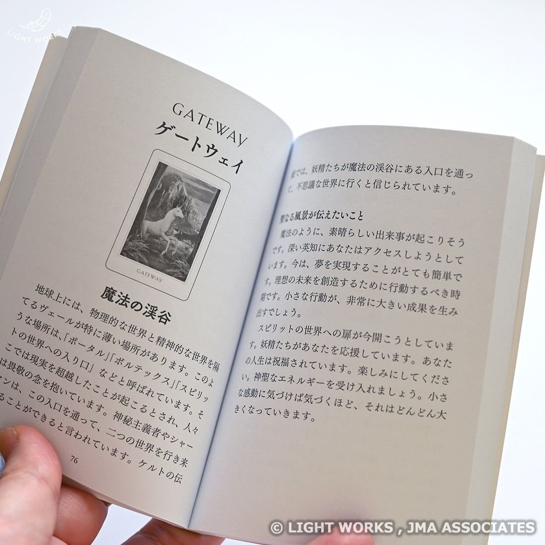 セイクレッドデスティニーオラクル スペシャルエディション ゴールドエッジ