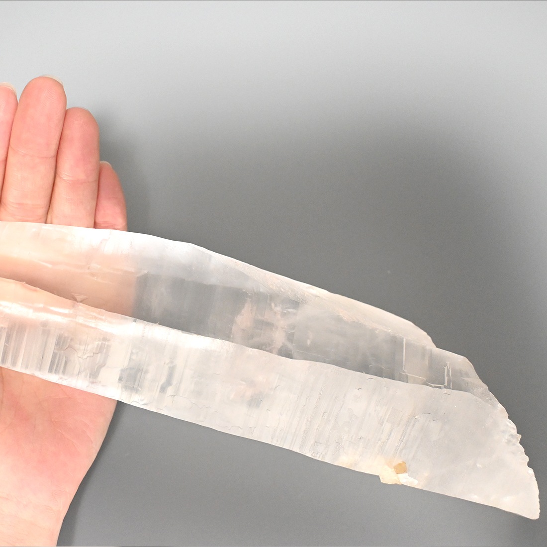 レムリアンシード