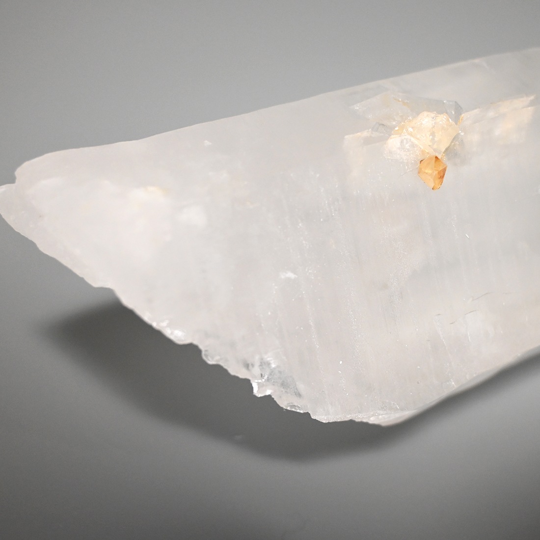 レムリアンシード