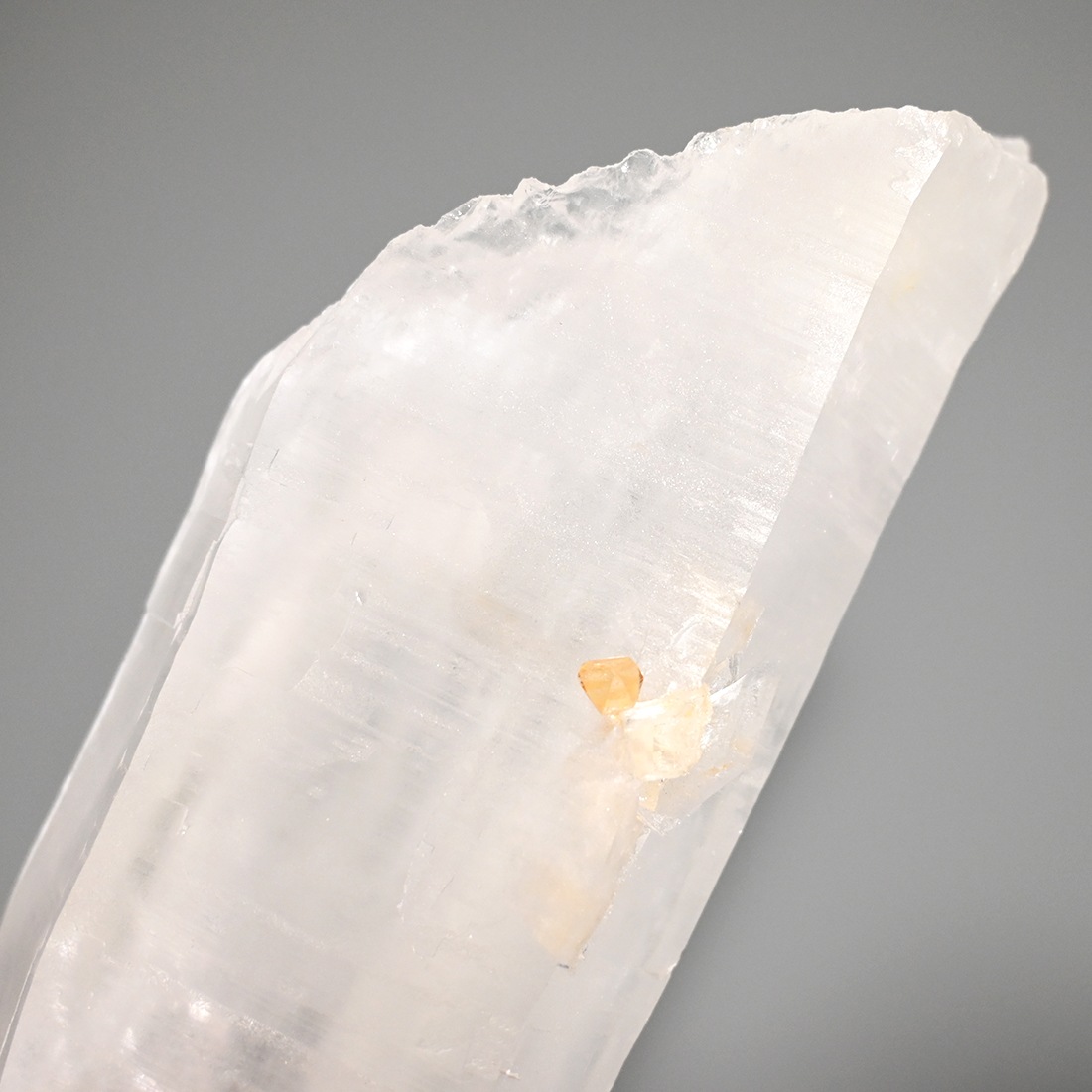 レムリアンシード