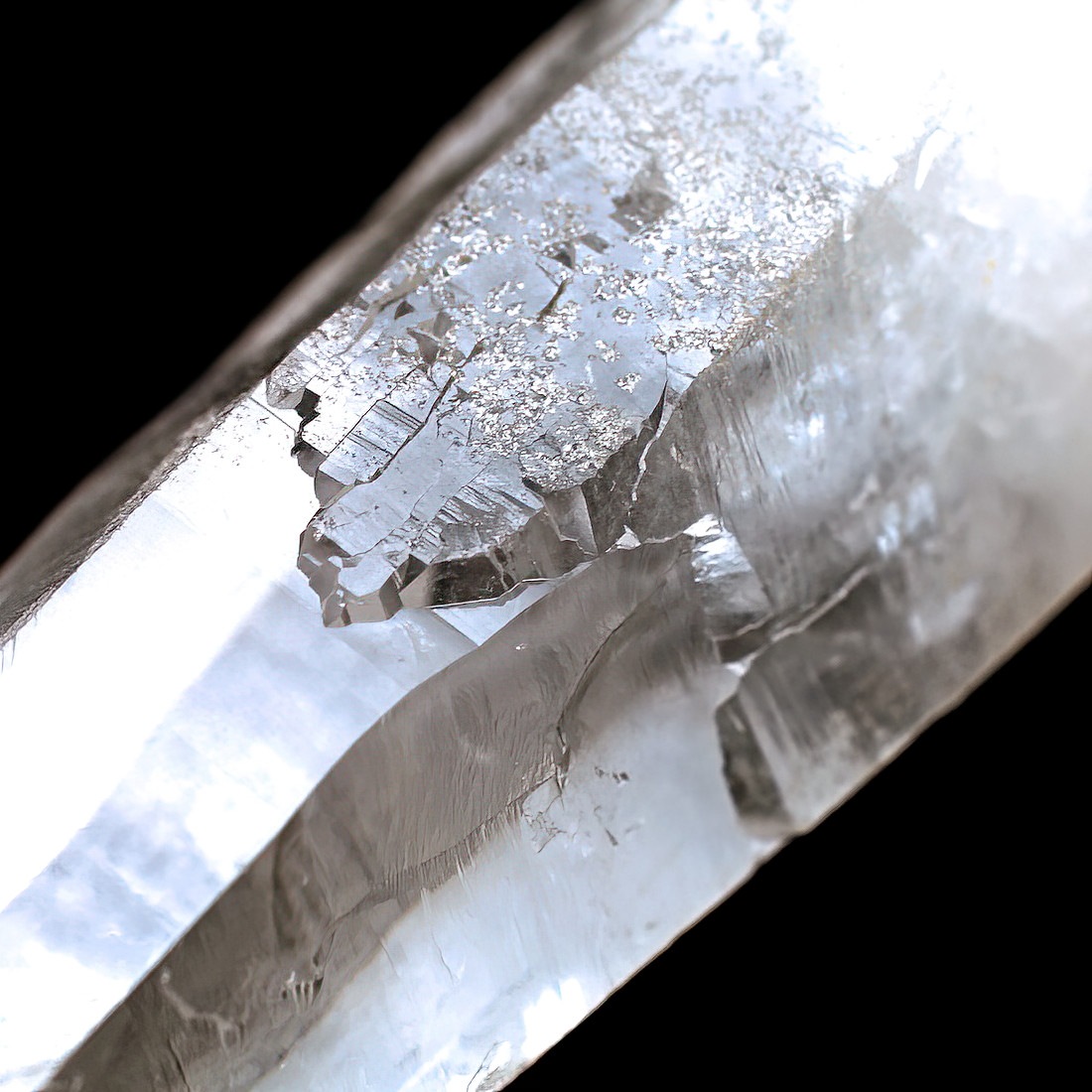 レムリアンシード