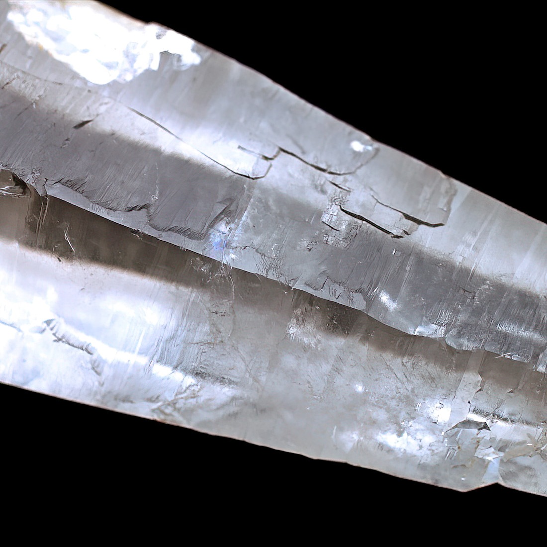 レムリアンシード