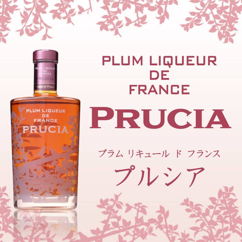 プルシア プラムリキュール 15度 700ml | 全ての商品 | ウイスキー