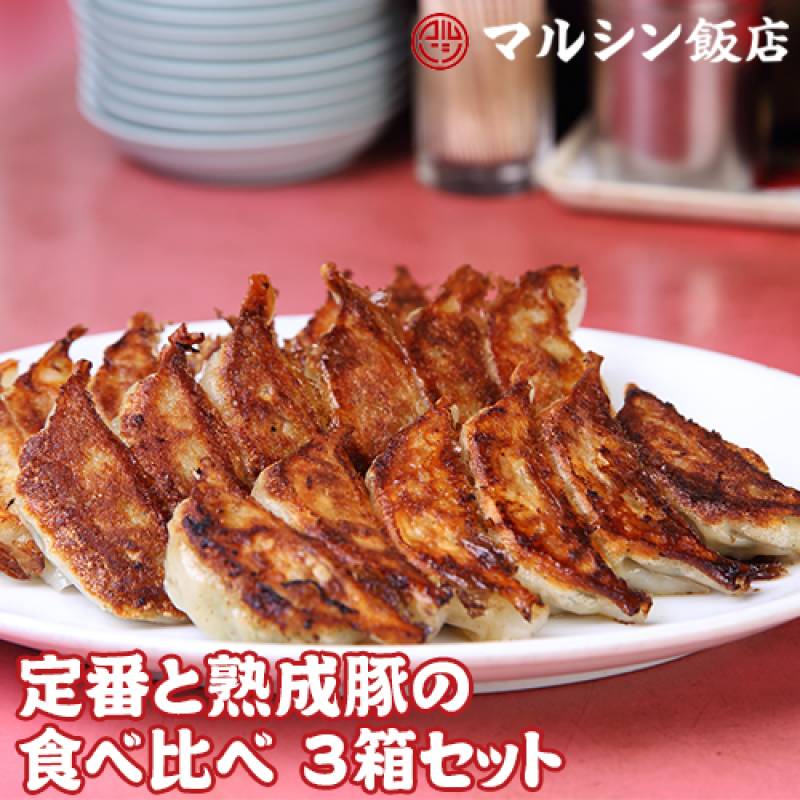マルシン飯店 食べ比べ3箱セット 送料無料 1箱20個入×3箱 (生餃子2箱・熟成豚肉生餃子1箱) 熟成豚肉 生餃子 餃子 ギョーザ 行列 京都 クール代込 産地直送 (産直)