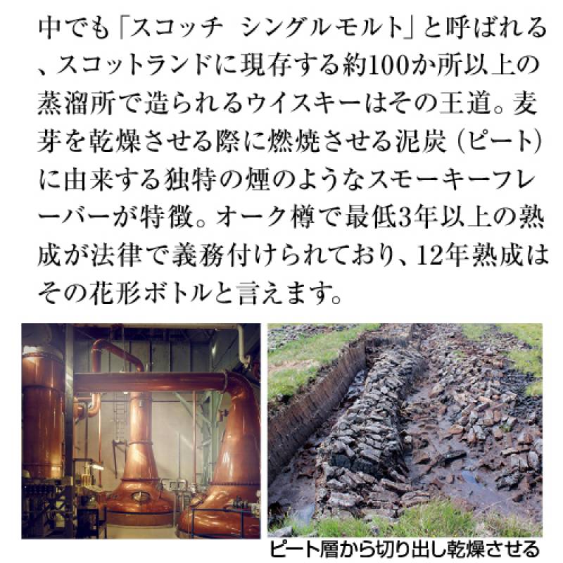 追加商品画像