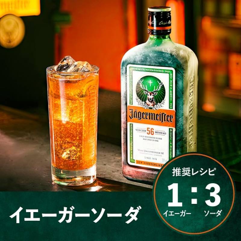 イエーガーマイスター 20ml×10本パック 35度 ハーブ リキュール 香草