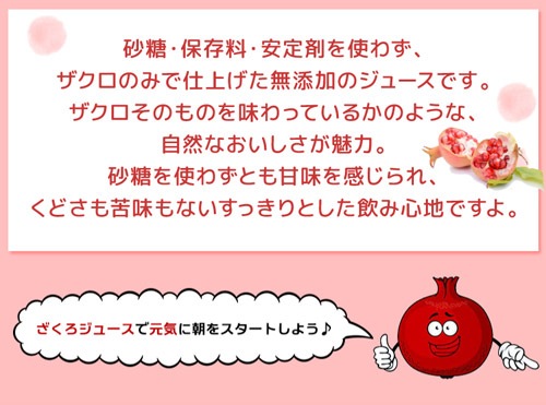 賞味期限2026年1月17日 80万本突破 楽天1位 ザクロジュース 無添加 100% 送料無料 24本 ざくろジュース1000ml ラマール エラグ酸 ウロリチン 世界一受けたい授業 妊活 花以外 妊活 1L 1,000ml カズレーザーと学ぶ 効能 柘榴 石榴 大容量 2個口でお届けします カワタキ