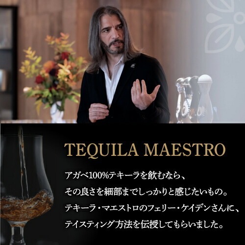 送料無料 正規品 クラセアスール プラタ 750ml 40度 箱入り 6本セット販売 プレミアム テキーラ クラセ・アスール 100%アガベ メキシコ スピリッツ ナイト クラブ Clase Azul PLATA TEQUILA 虎S