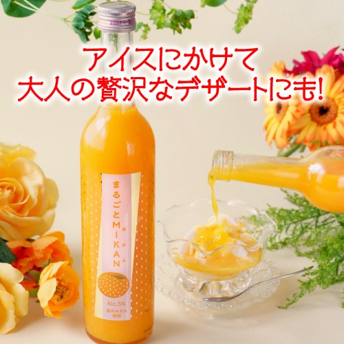 ☆日本未発売☆SHANLING REGAL【美品】 ctg1-head.jpg