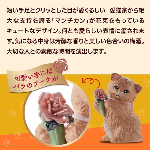 送料無料 正規品 梅酒 箱付き マンチカン ウィズブーケ クリーム 300ml