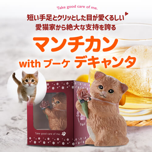 【訳あり】 送料無料 正規品 梅酒 箱付き マンチカン ウィズブーケ  ホワイト 300ml 13度  虎S アウトレット