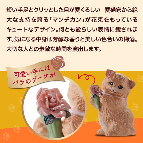 【訳あり】 送料無料 正規品 梅酒 箱付き マンチカン ウィズブーケ  ホワイト 300ml 13度  虎S アウトレット