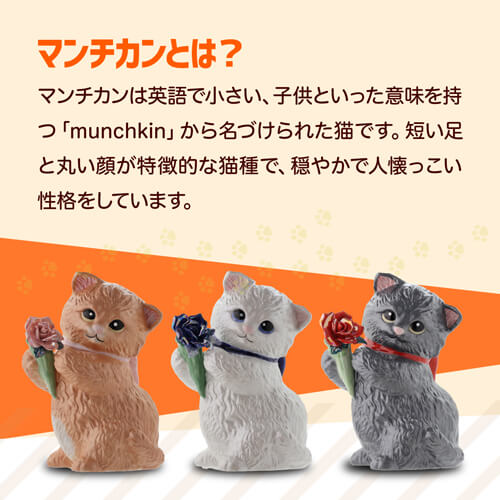 【訳あり】 送料無料 正規品 梅酒 箱付き マンチカン ウィズブーケ  ホワイト 300ml 13度  虎S アウトレット