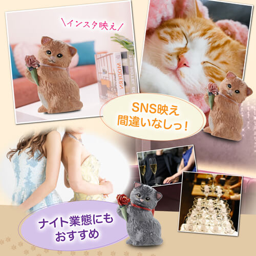 【訳あり】 送料無料 正規品 梅酒 箱付き マンチカン ウィズブーケ  ホワイト 300ml 13度  虎S アウトレット