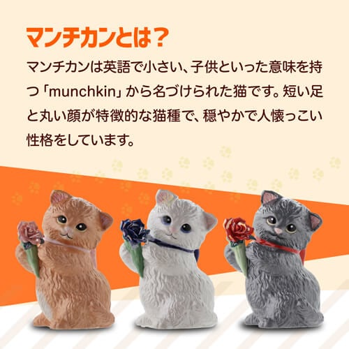 送料無料 正規品 梅酒 箱付き マンチカン ウィズブーケ ブラックスモーク 300ml 13度<br>陶器ボトル デキャンタ ポアラー付き バラ マンチカン 猫 ブラックスモーク BLACKSMOKE PLUM BAR ナイト クラブ ギフト プレゼント SNS インスタ映え 虎S