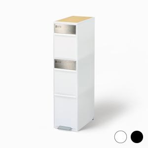 ʬ̥󥰥ơ 磻 åɥȥå3ʡBWP-12BSWT