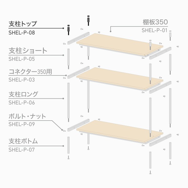 ������ӥ󥰥����ƥࡡ���� �ȥåס�����ɥ���å� 2P��SHEL-P-08