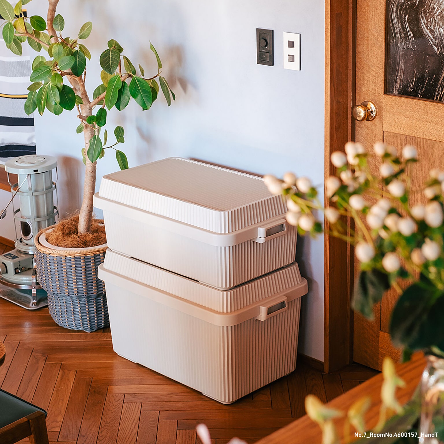 ååץƥʡ53ʥʡܥååȡ STC-01S