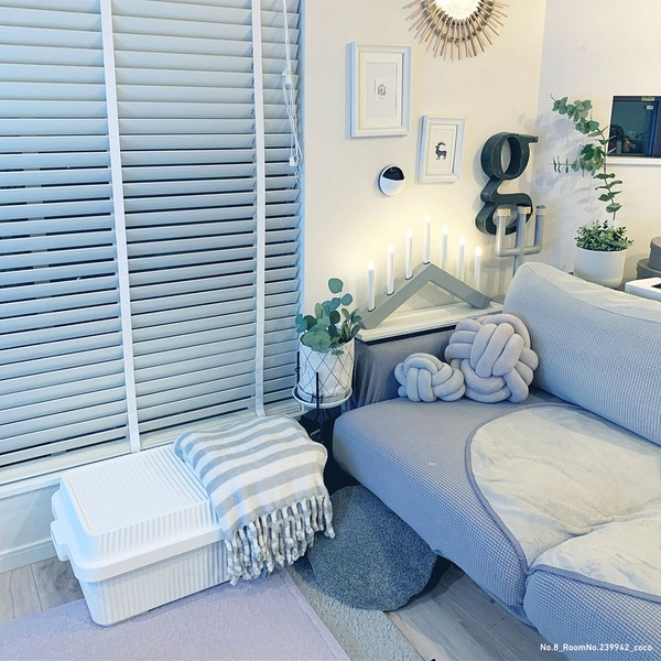 ååץƥʡ53ʥʡܥååȡ STC-01S