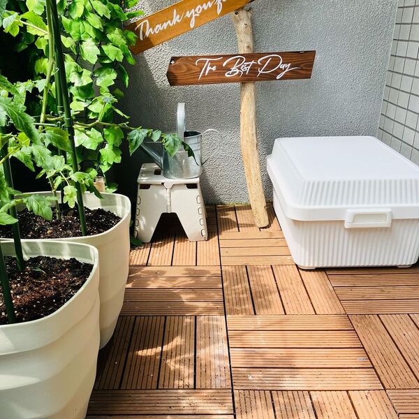 ååץƥʡ53ʥʡܥååȡ STC-01S