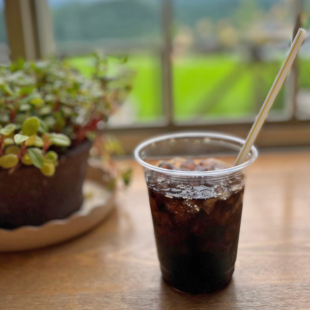 コーヒー（アイス）