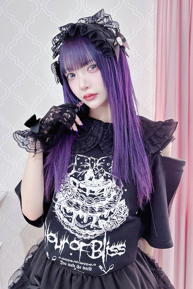 Princess Melodyۤܤ󥱡ZIPT - ֥å size-F